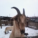 ���� ����� �� ������� ��� �������