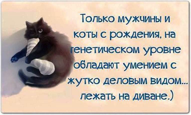  - 7  2014  21:18