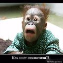 ���� ����, ��������, 56 ��� - ��������� 21 �������� 2014 � ������ ������ ��������