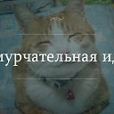 ���� Ginger, ������� - ��������� 25 ������� 2014 � ������ ������ ��������