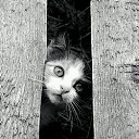 ����������� �� �����! �� ������� ���� ����������