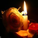 ���� ������ ���������, ������, 31 ��� - ��������� 23 ������� 2014 � ������ ������ ��������