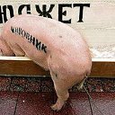  , -, 62  -  12  2014   