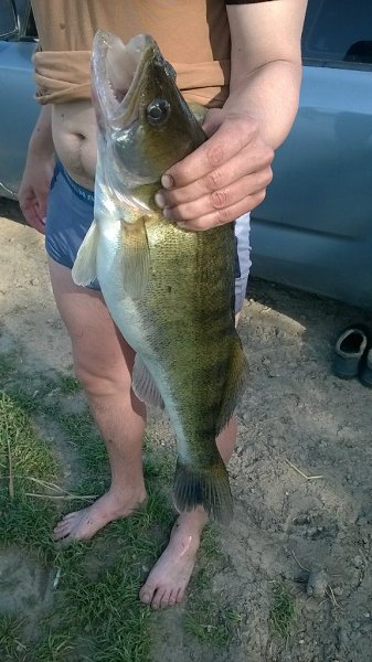 ����� ������� - 9 ������ 2014 � 17:57