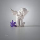 ���� �����, ������ - ��������� 17 ������� 2014 � ������ �flowers�