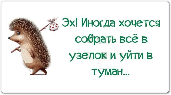 Хочется собрать всё в узелок. Хочется взять и уйти. Иногда все хочется собрать в узелок и уйти в туман. Хочется свалить в туман. Ежик в тумане цитаты.