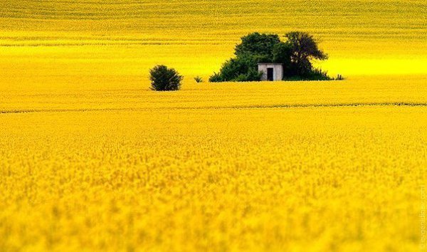 Подписывайтесь на нас: http://fotostrana.ru/public/233467 ;-) Болгария