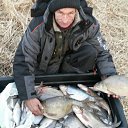 ���� �������, �������, 62 ���� - ��������� 13 ������� 2014 � ������ ���� ����������