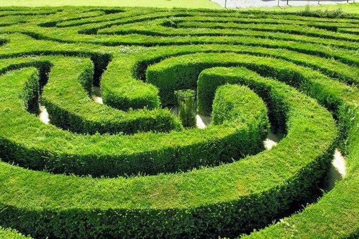 Longleat Hedge Maze:        .      ... - 2