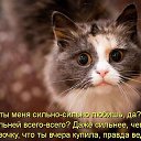 ���� �������, ��������-��-������, 48 ��� - ��������� 10 ������ 2014 � ������ ������ ��������