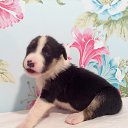 ���� �����, ��������, 58 ��� - ��������� 1 ������� 2014 � ������ ���� ����������