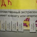 ���� �������, �������, 38 ��� - ��������� 4 �������� 2014 � ������ ������ ��������