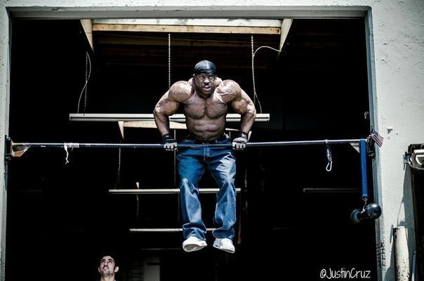 KALI MUSCLE. ))109  