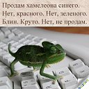 ���� �������, ����� - ��������� 12 ������� 2014 � ������ ���� ����������
