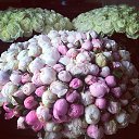 ���� ����, ������, 32 ���� - ��������� 17 ������ 2014 � ������ ������ ��������