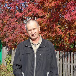 ���� ������, �������, 69 ��� - ��������� 27 ������� 2014