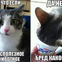 ���� ������, ������ - ��������� 15 �������� 2014 � ������ ������ ��������