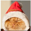 ���� �@����@ * M *, �������� - ��������� 26 ������ 2014 � ������ ���� ����������