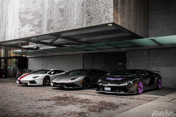 Lamborghini Aventadors - 7