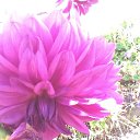 ���� �������, ����� - ��������� 5 �������� 2014 � ������ ���� ���