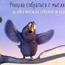 ���� ������, ��������, 55 ��� - ��������� 5 �������� 2014 � ������ ������ ��������