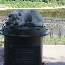 ���� ������, �����������, 55 ��� - ��������� 16 ������� 2014 � ������ ���� ����������