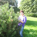 ���� �����, ������ - ��������� 15 �������� 2014 � ������ ���������