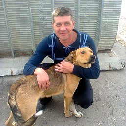 ���� ������, �������, 55 ��� - ��������� 20 ������ 2014