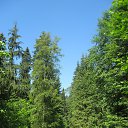 ����������� ����.���� 2014 ����. �� ������� ������ � ���������.�