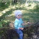  ,  , 58  -  31  2014    