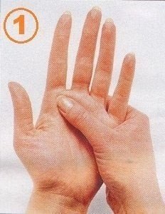      .   ,       ... - 2
