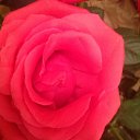 ���� �������, ������ - ��������� 22 ������ 2014 � ������ �����ۻ