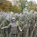 ���� �����, �������������, 58 ��� - ��������� 7 ������� 2014 � ������ ���� ����������