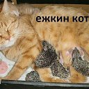 ���� �����, ��������� - ��������� 6 ������ 2014 � ������ ������ ��������