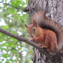 ���� ������, �����������, 48 ��� - ��������� 13 ������� 2014