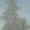 ���� �� ���� �� ������� ���� ����������