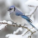 ���� �����, �������, 67 ��� - ��������� 23 ������� 2014 � ������ ������ ��������