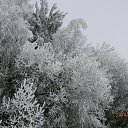 ���� �������, ����� - ��������� 2 ������� 2014 � ������ ������ 29-30.11.2014�