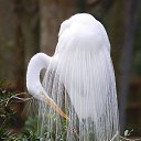 ���� ����, ������, 58 ��� - ��������� 26 �������� 2014 � ������ ������ ��������