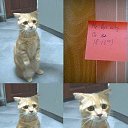 ���� ���������, �����-���������, 56 ��� - ��������� 13 �������� 2014 � ������ ������ ��������