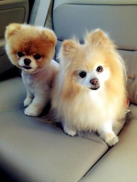 ...����� ������ - 6