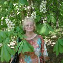 ���� �������, ������, 69 ��� - ��������� 26 ������ 2014