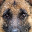  - 10.05.2014     - 2014