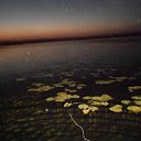 ���� ������, ������, 58 ��� - ��������� 17 ������� 2014 � ������ ���� �����