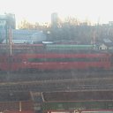 ���� �����, �����-��������� - ��������� 29 ������� 2014 � ������ ������ ��������