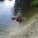 ���� �������, ������, 49 ��� - ��������� 13 ������ 2014