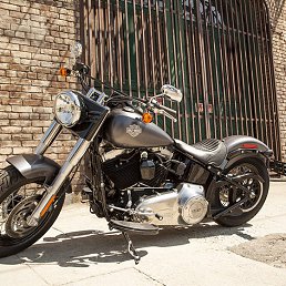 ����, ���������, 43 ����