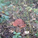 10 ����� ����� ��� ���� ����� �� ������� ���� ����������