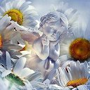 ���� �������, ����������, 73 ���� - ��������� 17 �������� 2014 � ������ ������ ��������