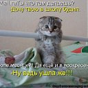 ���� ���� �-238, ������ - ��������� 26 ������ 2014 � ������ ������ ��������